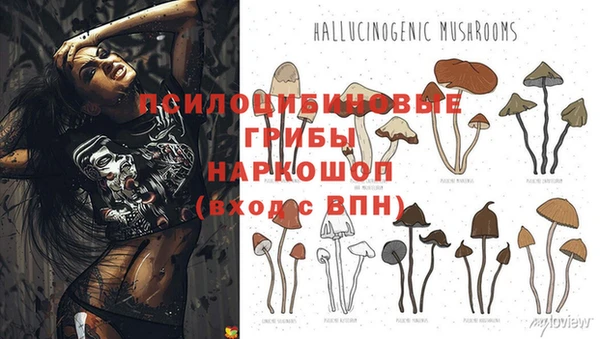 spice Козельск